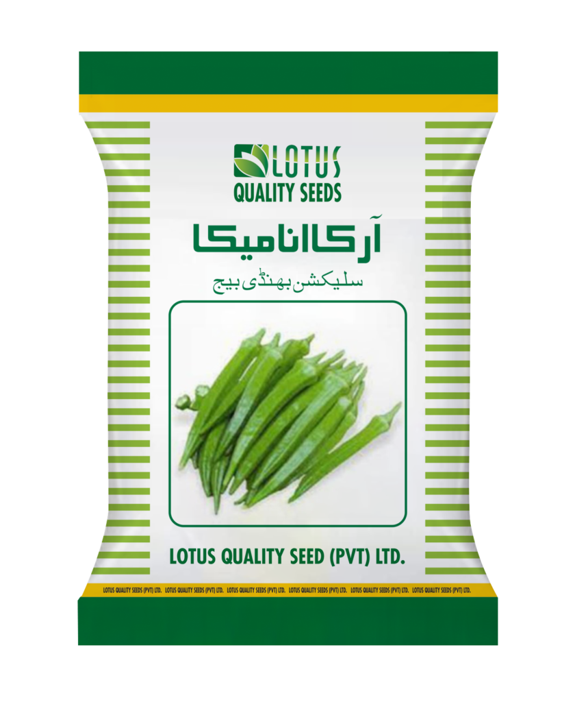 Arka Anmica Okra Seed