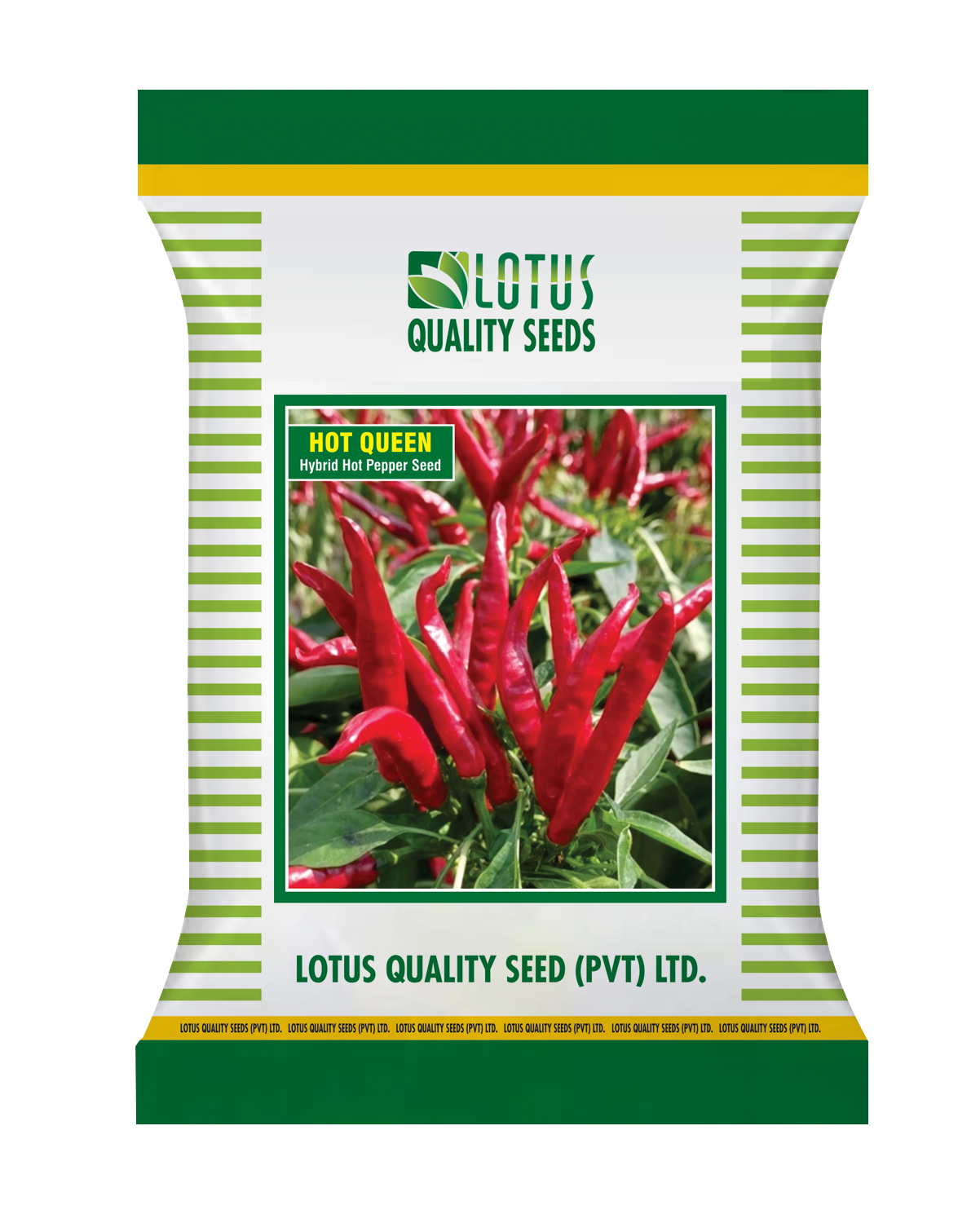 Hot Queen Hybrid Chilli Seed