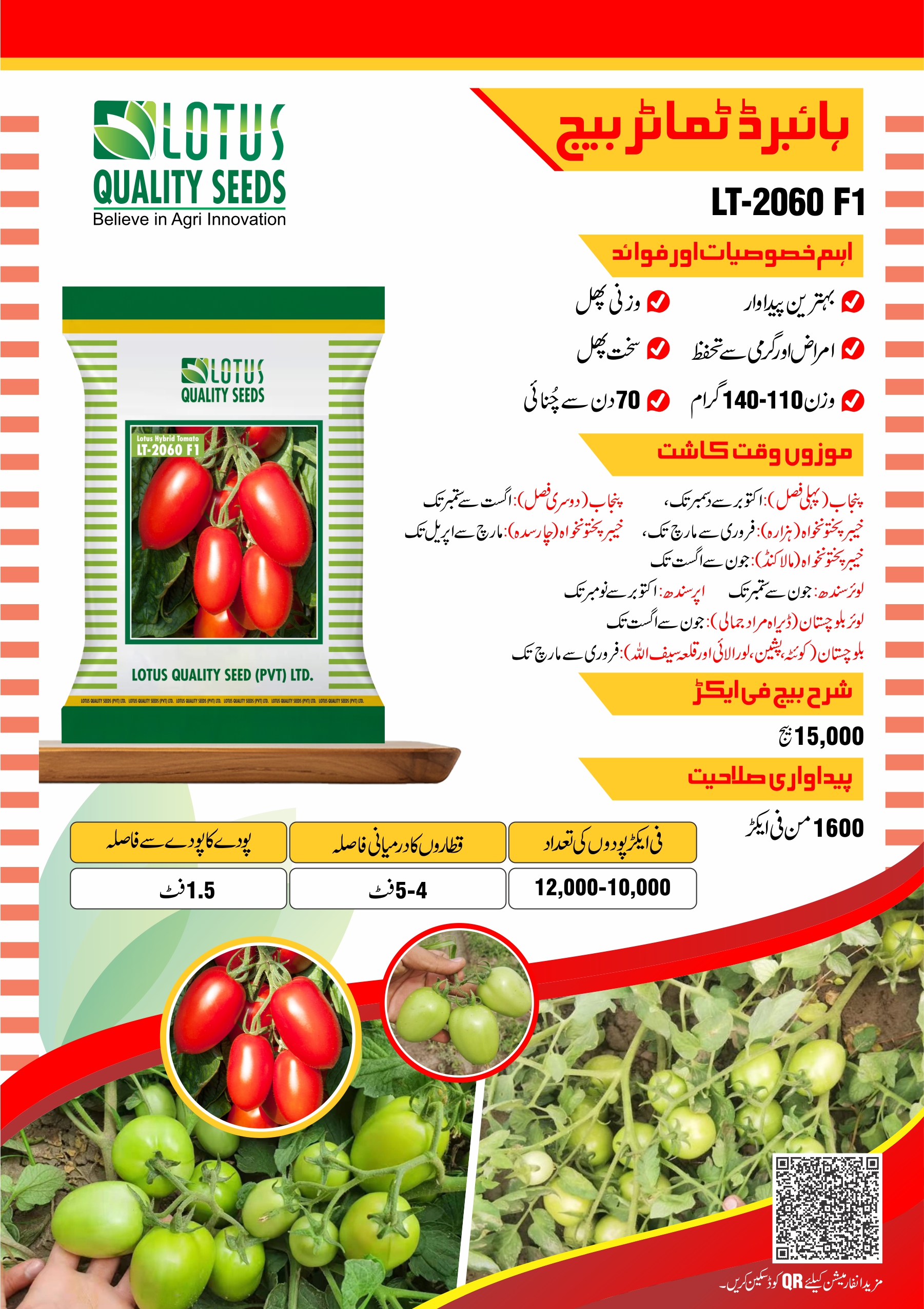 Hybrid Tomato Seed