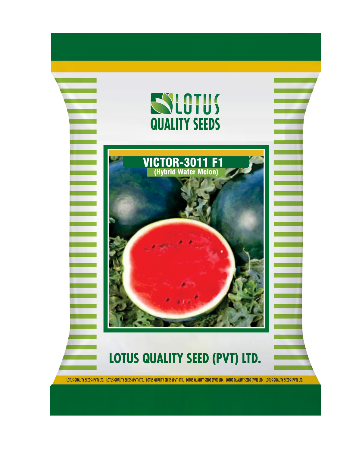 Water Melon Victor 3011 F1 Hybrid