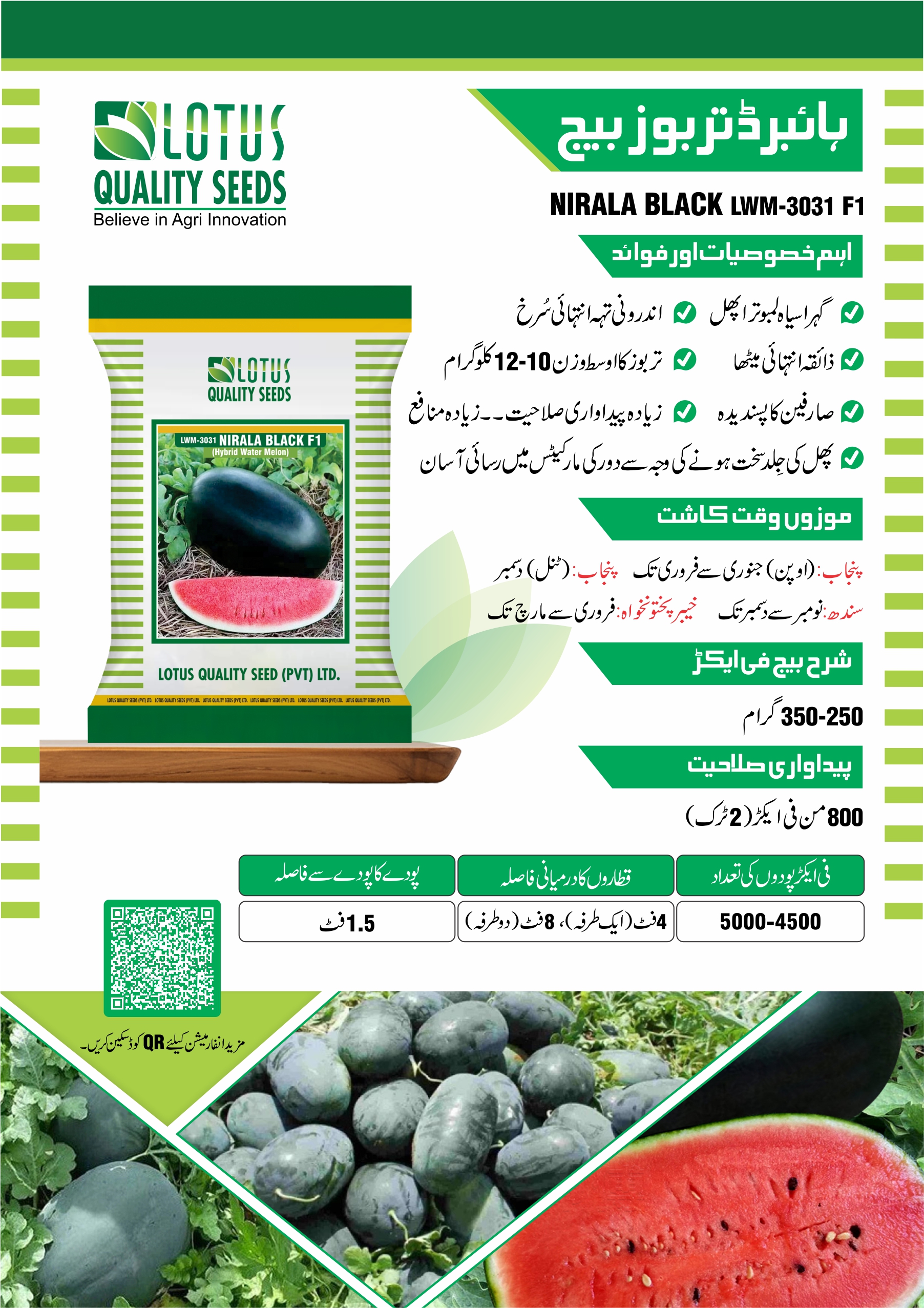 Water Melon Nirala Black Seed F1 Hybrid