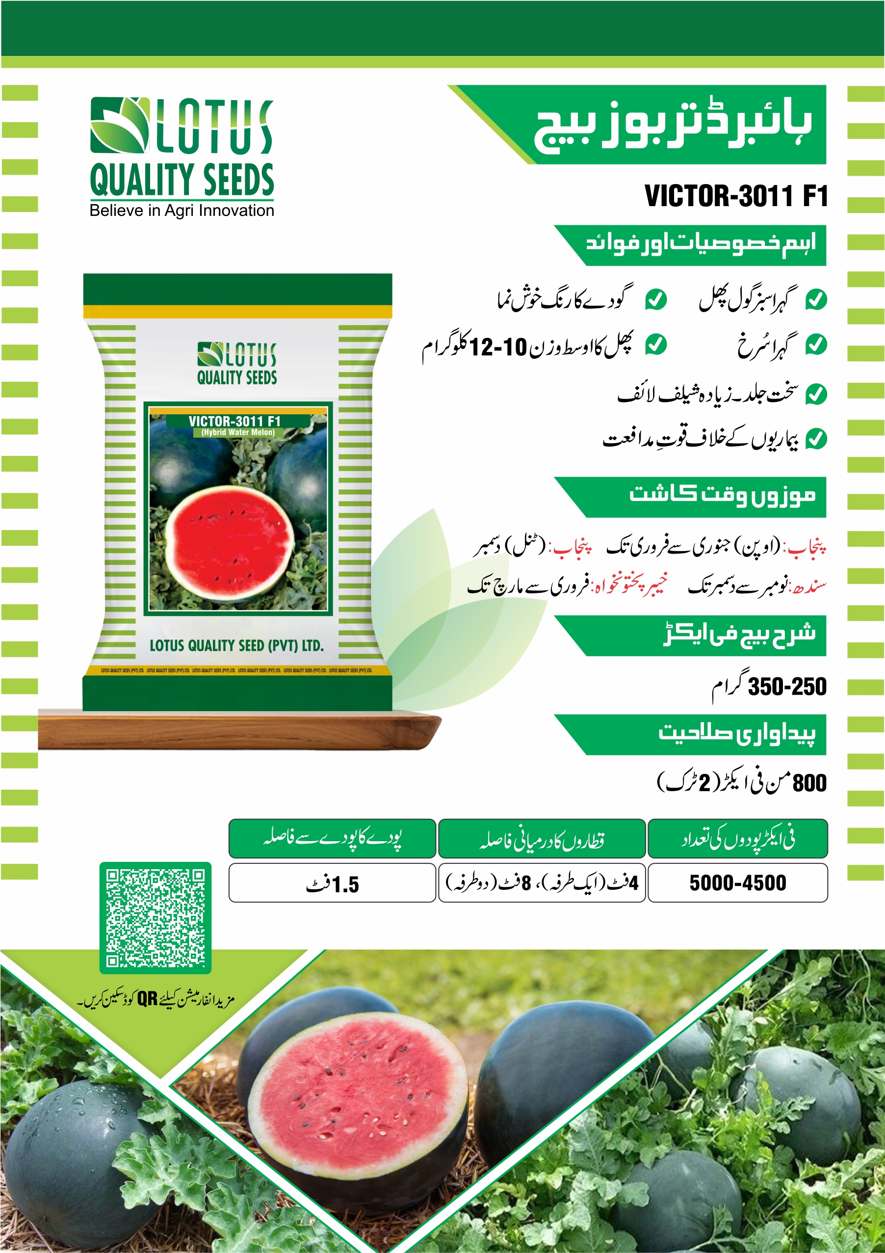 Water Melon Victor 3011 F1 Hybrid