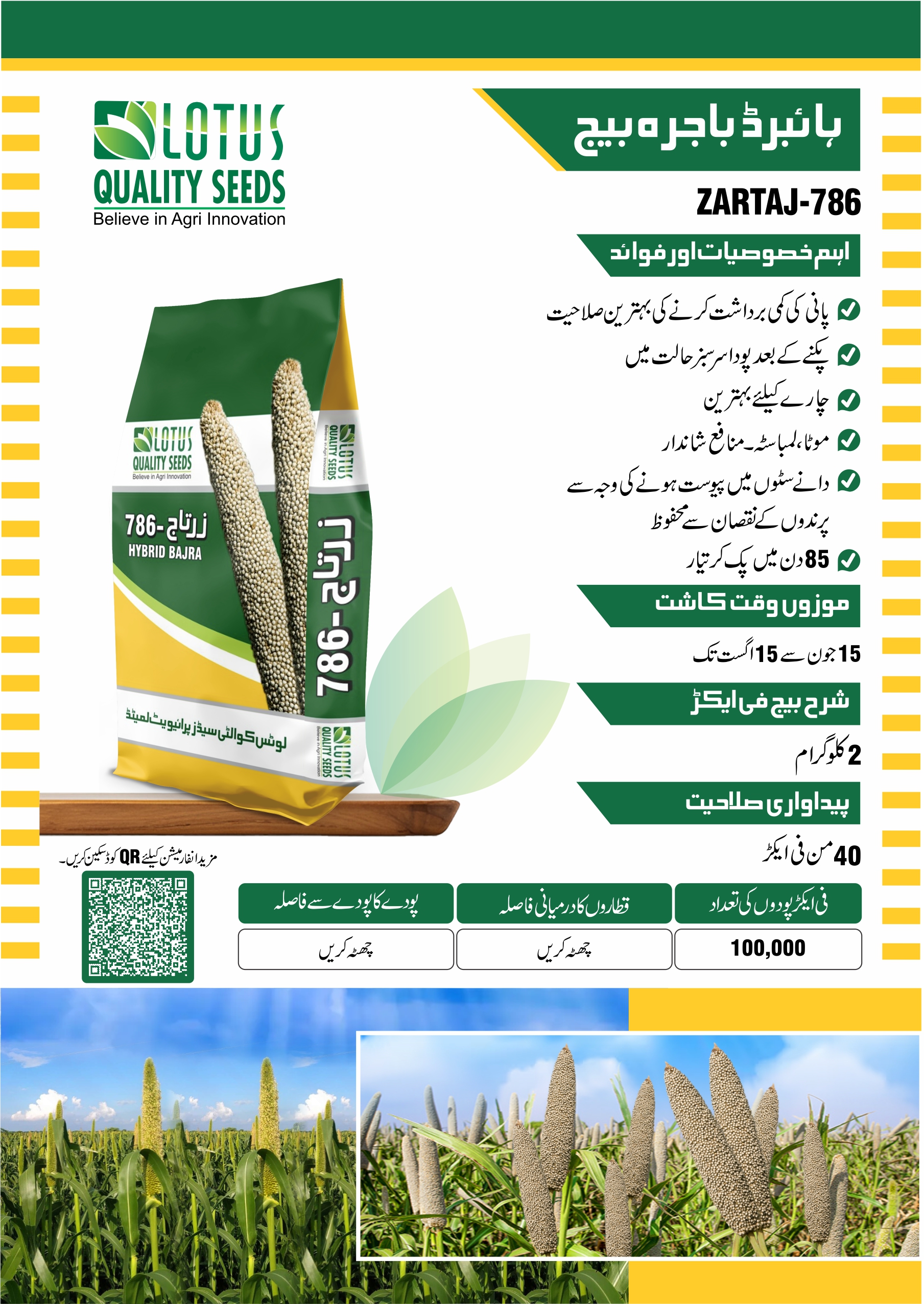 Zartaj-786 Hybrid Bajra