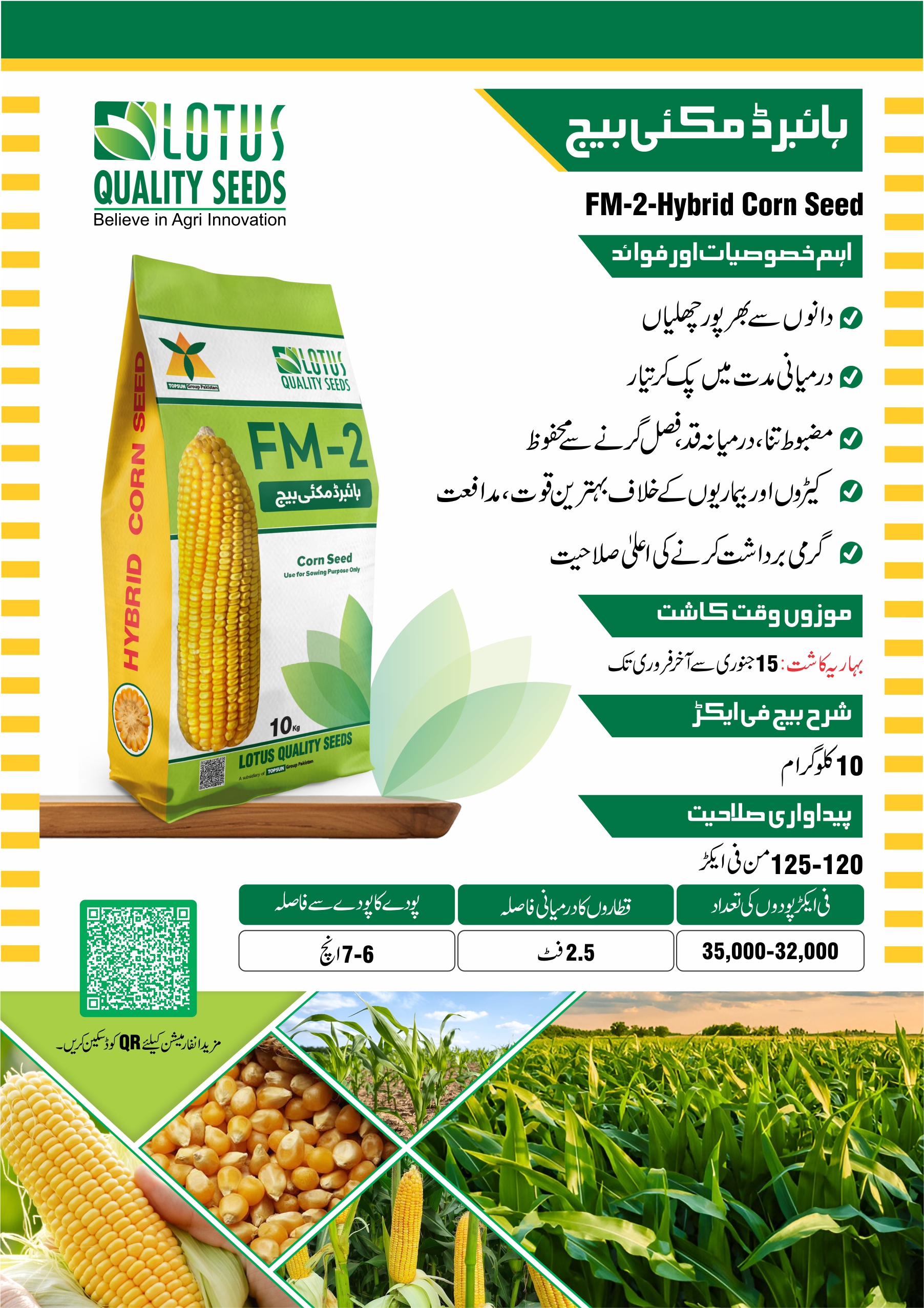 FM-2 Hybrid Corn Seed