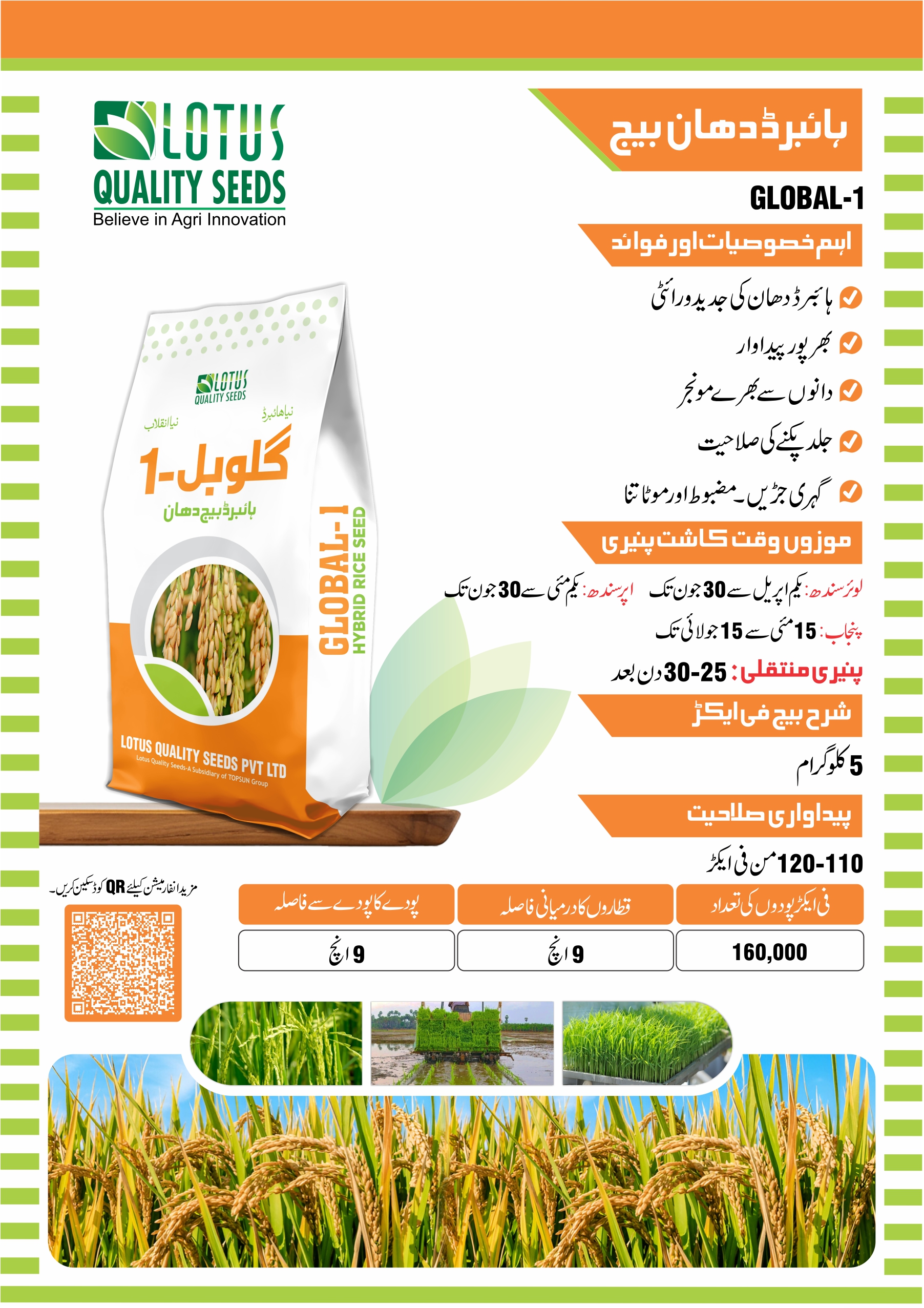 Global-1 Hybrid Rice Seeds