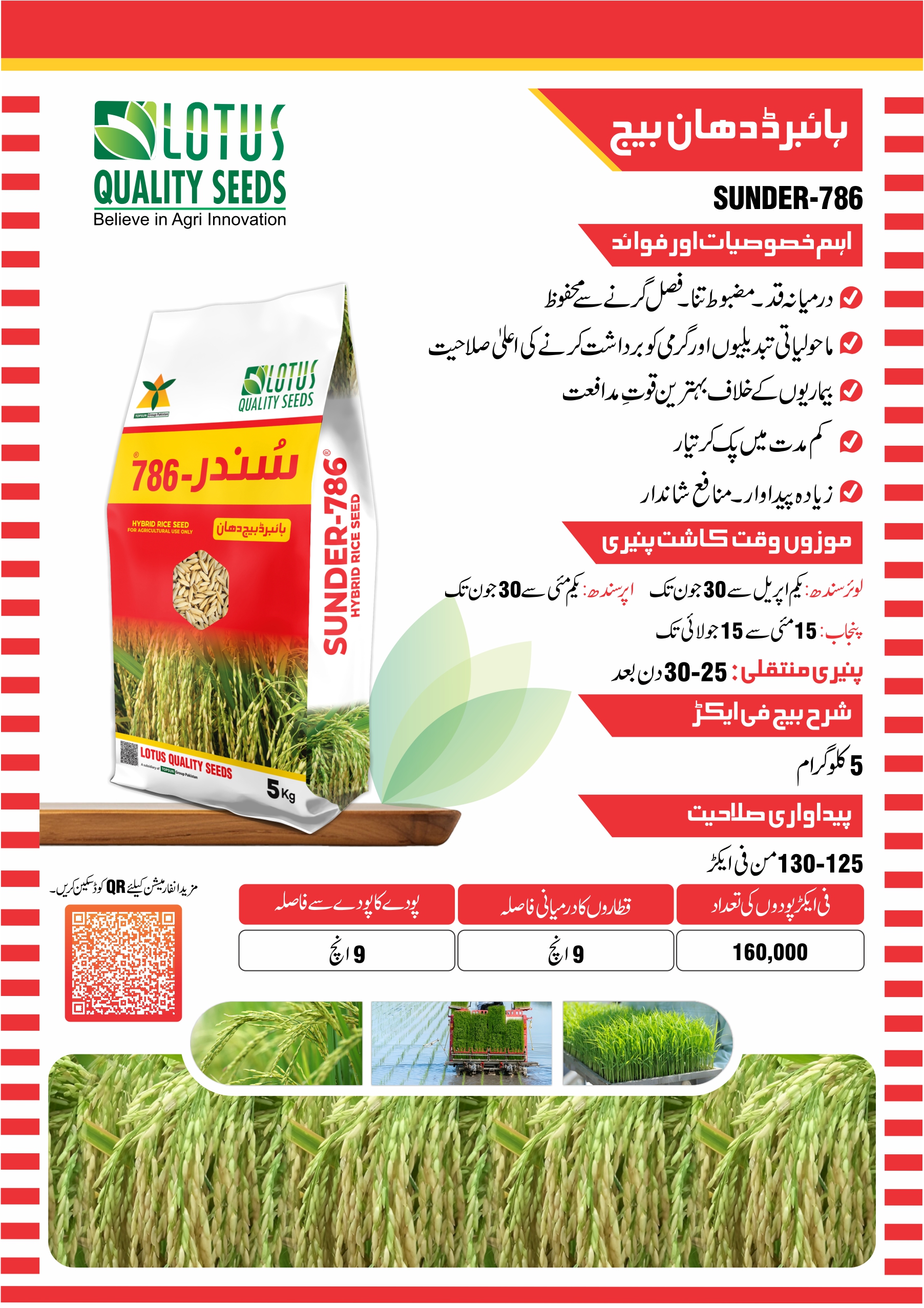 Sunder-786 Hybrid Rice Seeds