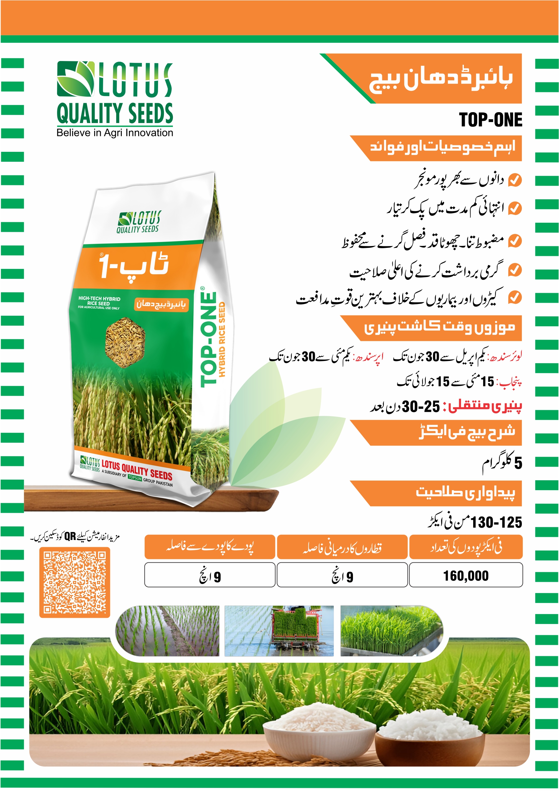 Top-1 Hybrid Rice Seeds