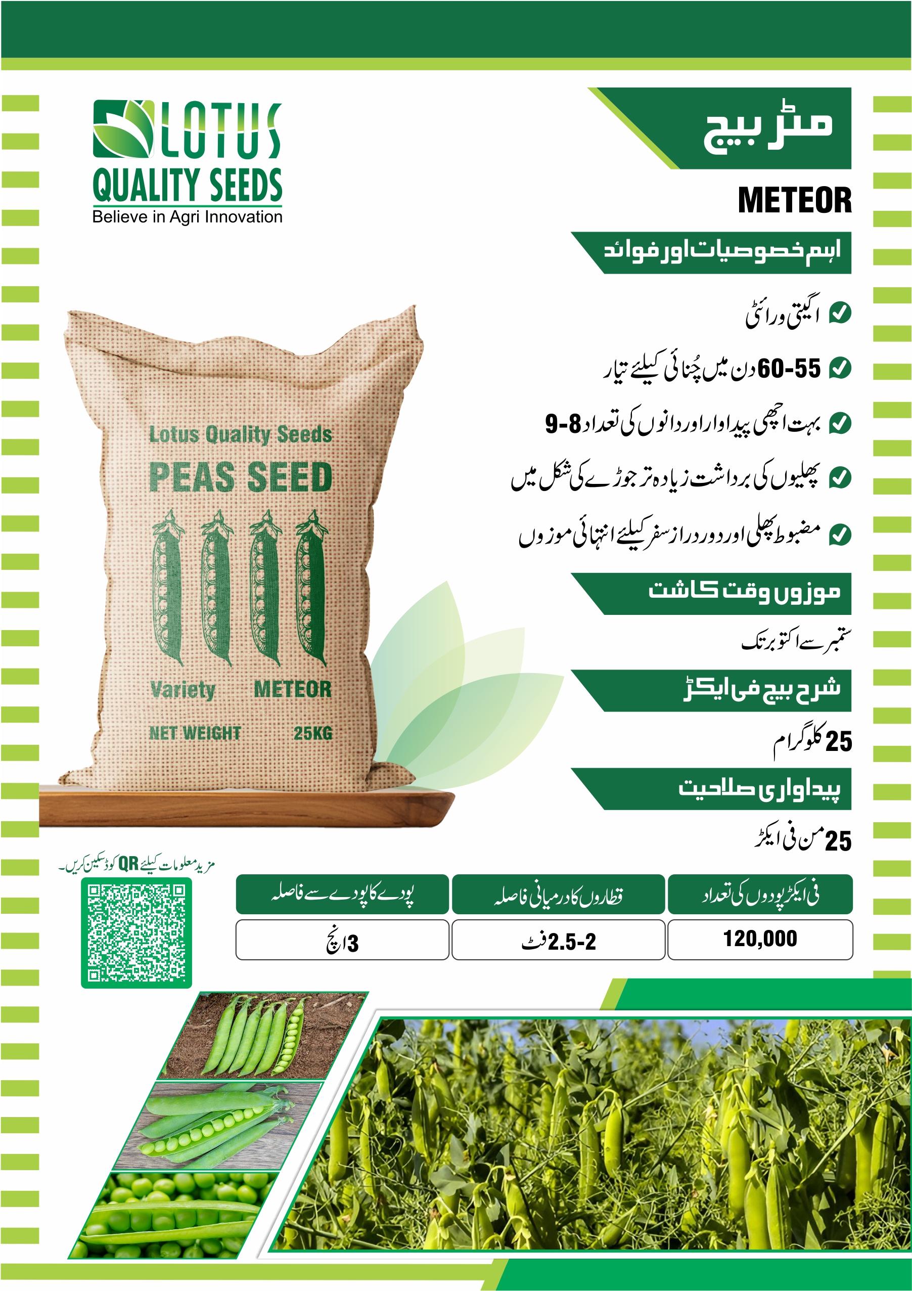 Meteor Pea Seeds