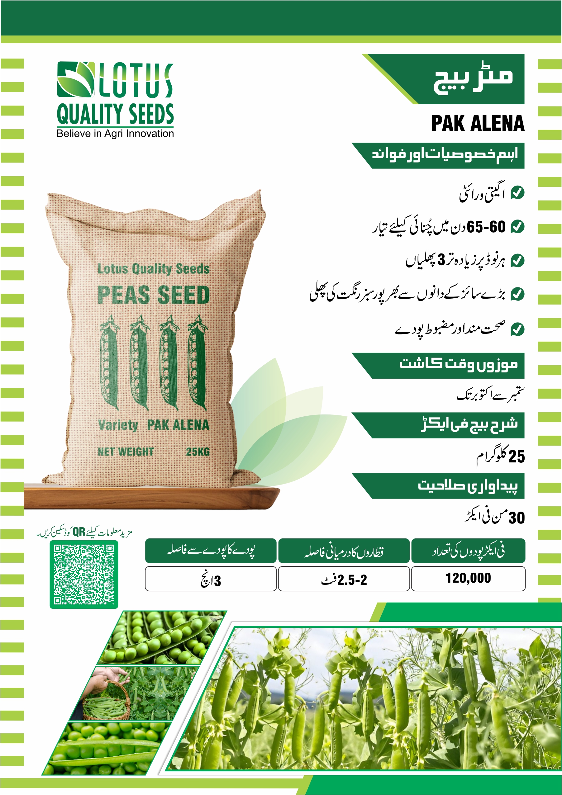 Pak Alena Pea Seeds