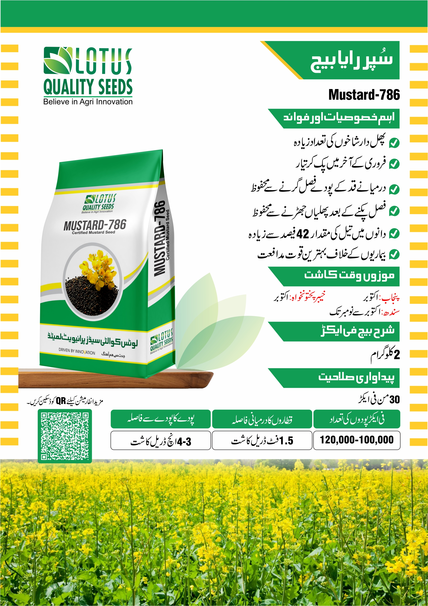 Super Raya Mustard-786 Seed