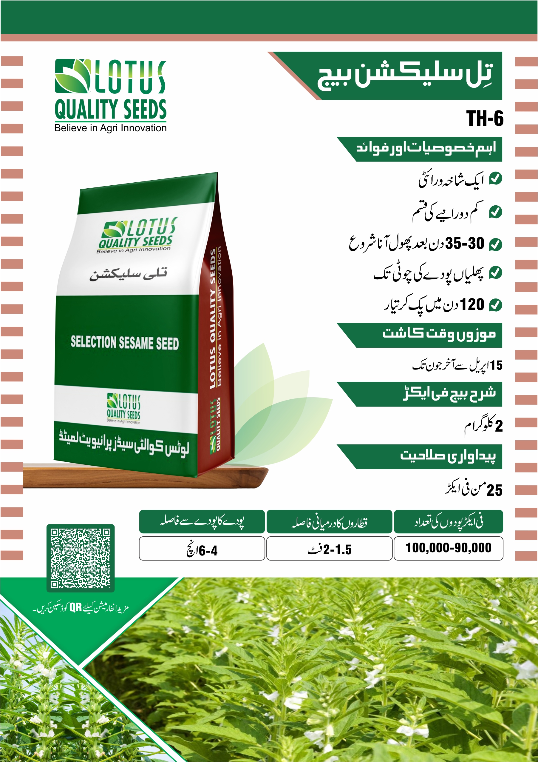 Selection Sesame Seeds