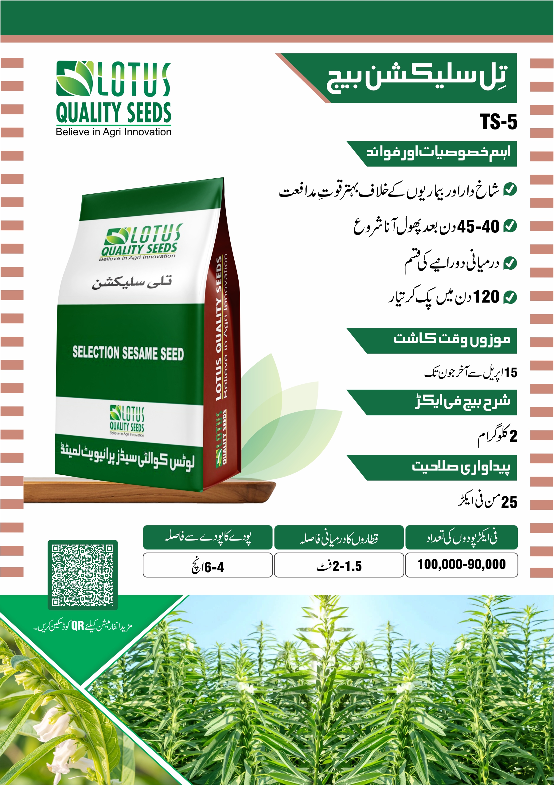 Selection Sesame Seeds