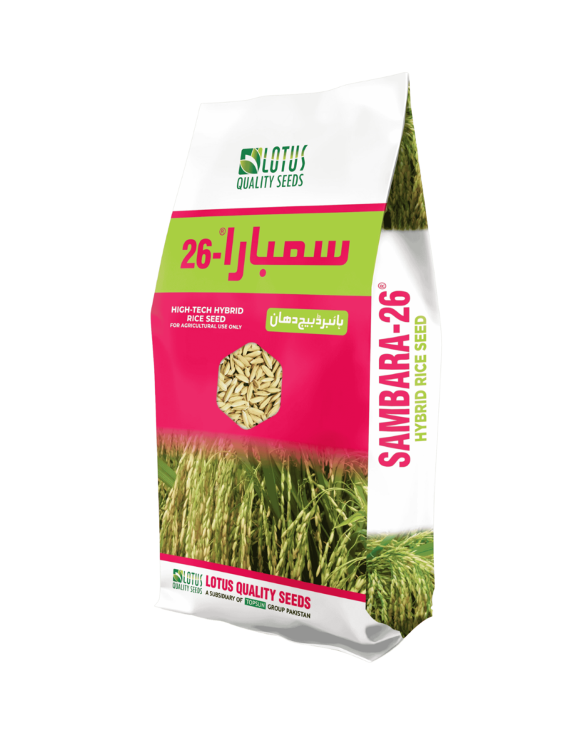 Sambara-26 Hybrid Rice Seeds