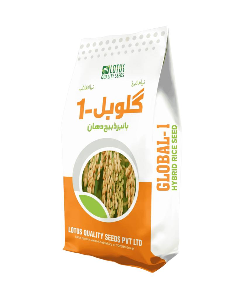 Global-1 Hybrid Rice Seeds