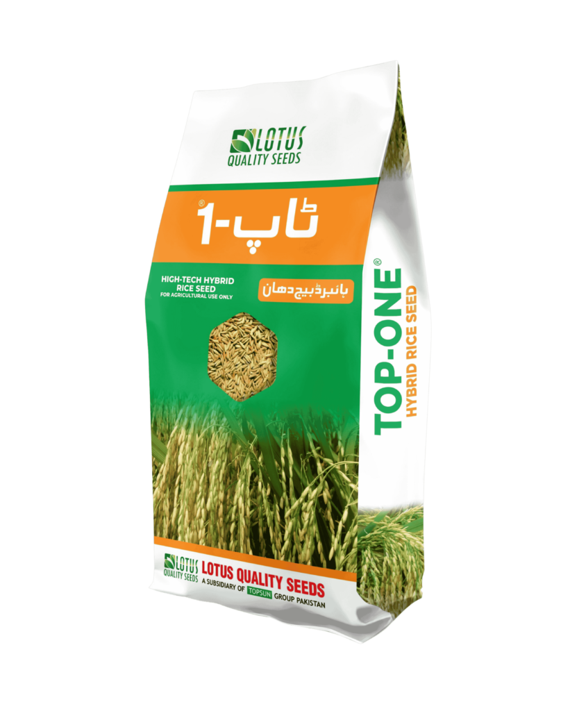 Top-1 Hybrid Rice Seeds