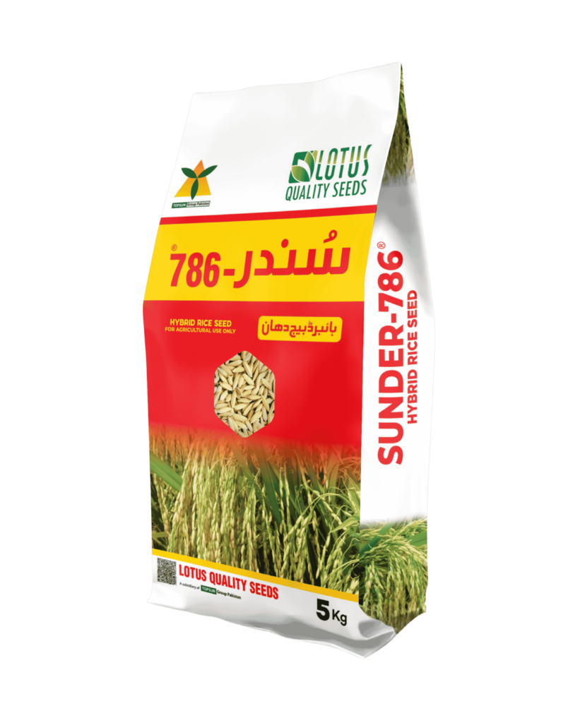 Sunder-786 Hybrid Rice Seeds