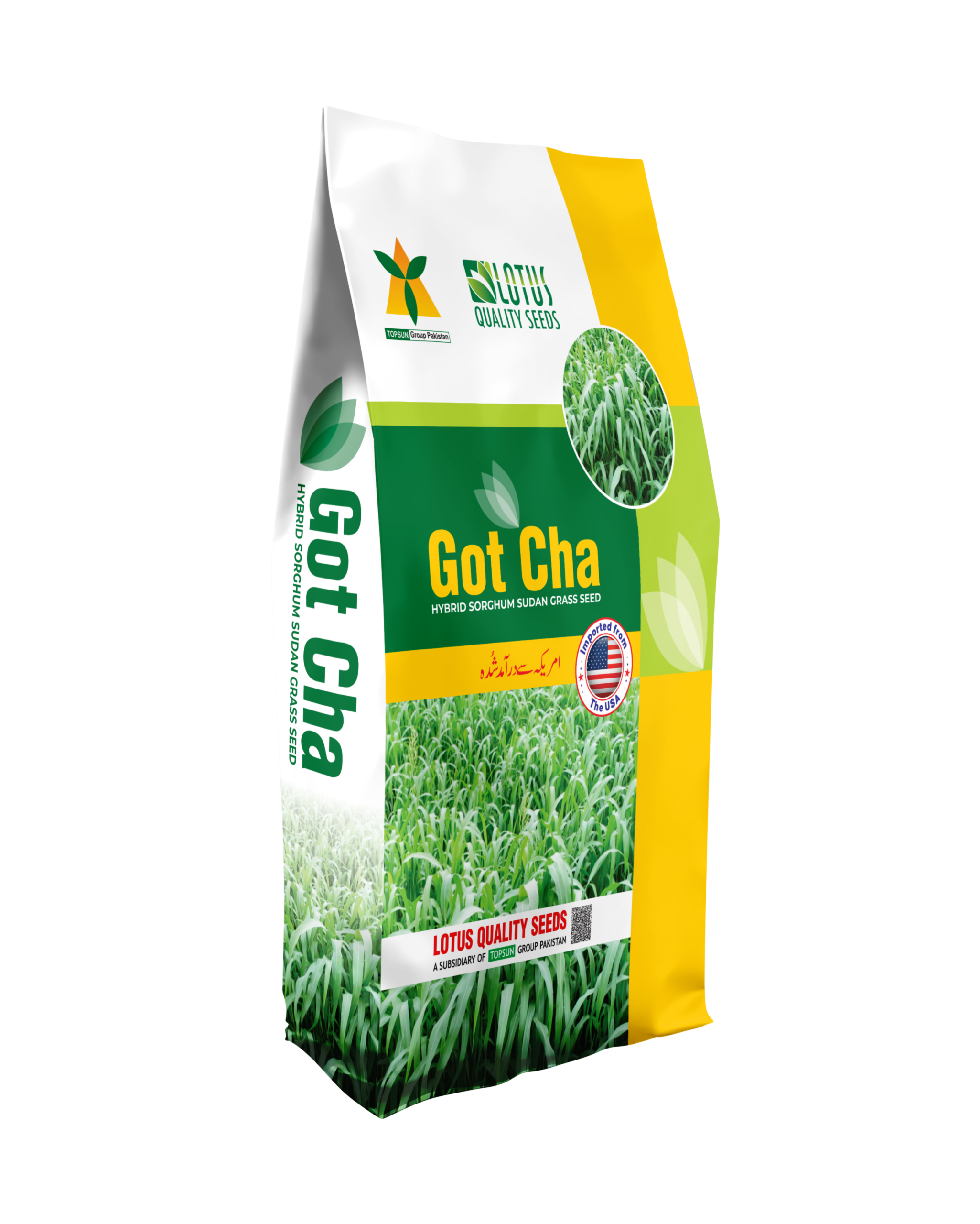 Got Cha HSSG Seed