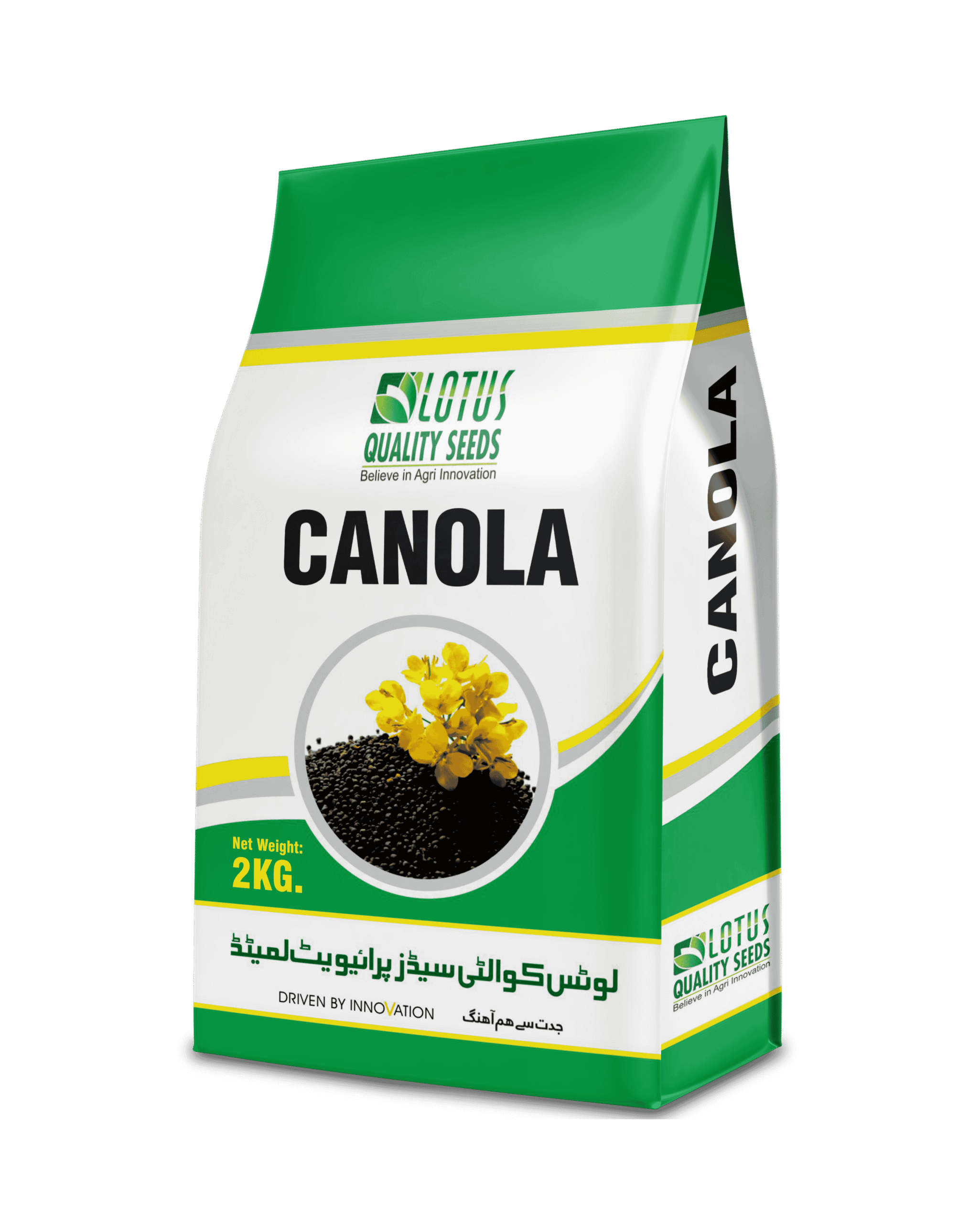 Canola Seed