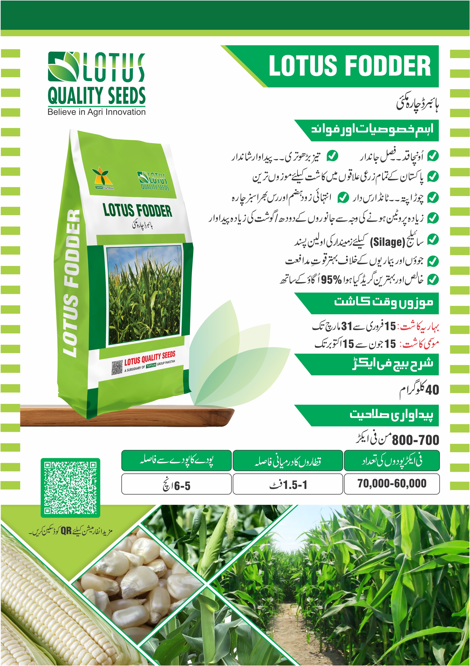 Lotus Fodder Hybrid Seeds